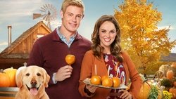 Love, Fall & Order