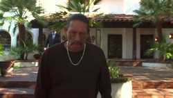 The Contractor