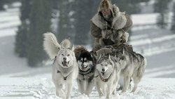 The Great Alaskan Race