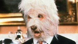 The Return of the Shaggy Dog