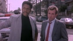 L.A. Heat