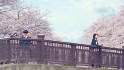 Let Me Eat Your Pancreas