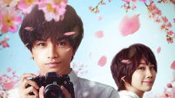 Love Like the Falling Petals