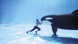 Blackfish