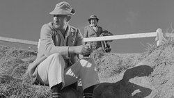 Monsieur Hulot's Holiday