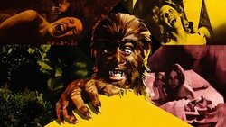 The Howl of the Devil