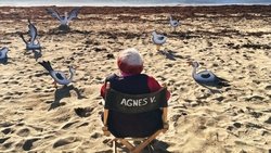 Varda by Agnès