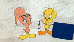 Tweety's High Flying Adventure