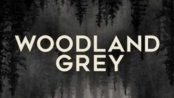Woodland Grey
