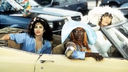 To Wong Foo, Thanks for Everything! Julie Newmar
