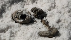 Under the Salt