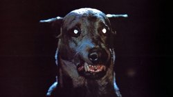 Dracula's Dog