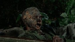 Burial Ground