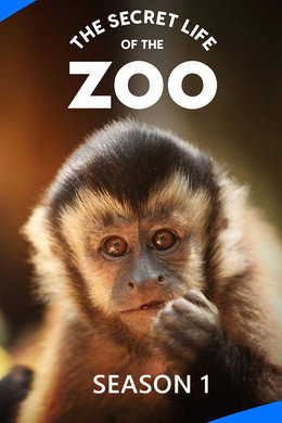 The Secret Life of the Zoo