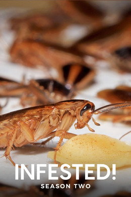 Infested
