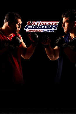 The Ultimate Fighter