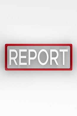 Report