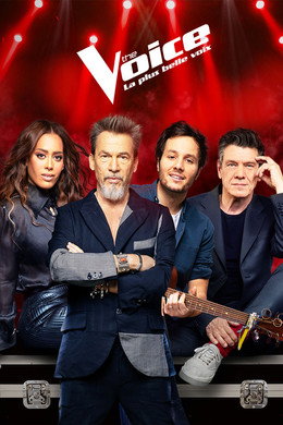 The Voice : La Plus Belle Voix