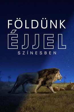 Földünk éjjel színesben