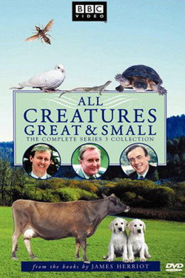 All Creatures Great and Small
