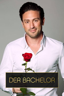 Der Bachelor