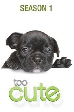 Too Cute