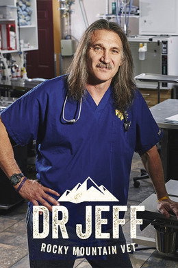 Veterinario en apuros