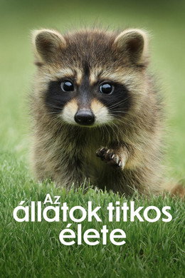 Az állatok titkos élete
