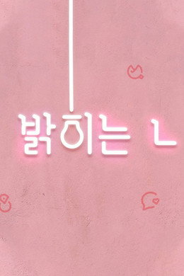 밝히는 ㄴ 시즌