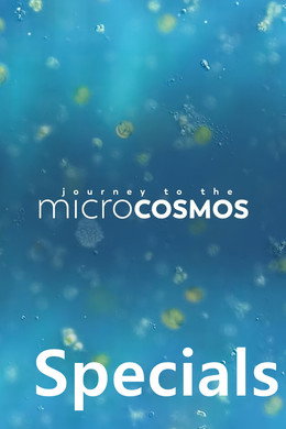 Journey to the Microcosmos