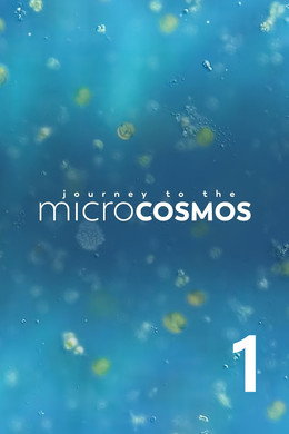 Journey to the Microcosmos