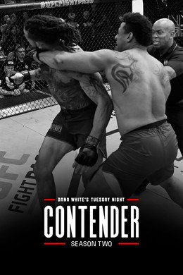 Dana White's Contender Series