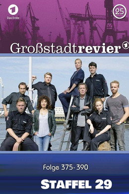 Großstadtrevier