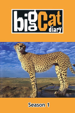 Big Cat Week