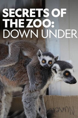 Secrets of the Zoo: Down Under