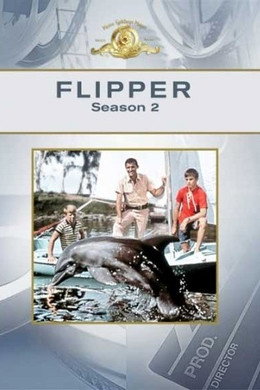 Le nuove avventure di Flipper