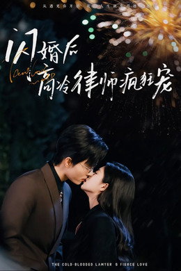闪婚后蒋律师卑微求爱