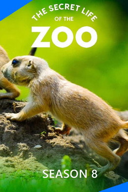 The Secret Life of the Zoo