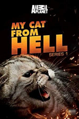 My Cat from Hell
