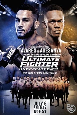 The Ultimate Fighter