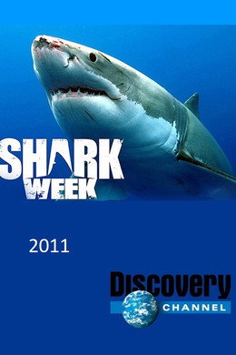 Shark Week