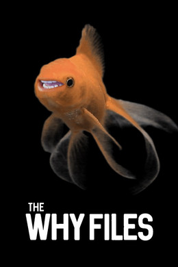 The Why Files