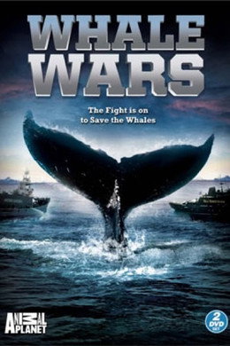 Whale Wars