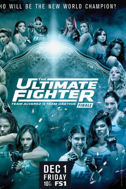 The Ultimate Fighter