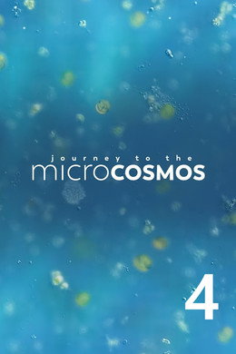 Journey to the Microcosmos