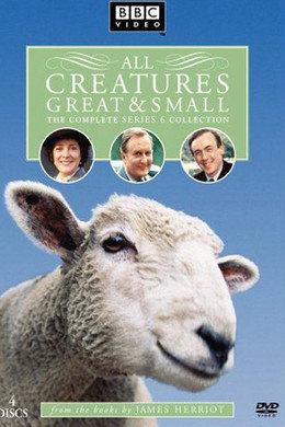 All Creatures Great and Small