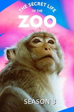The Secret Life of the Zoo