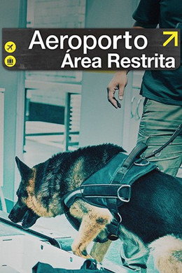 Aeroporto: Área Restrita