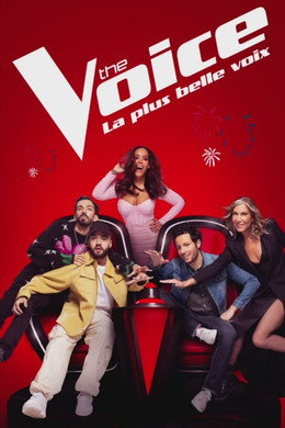The Voice : La Plus Belle Voix