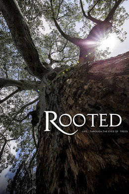 Rooted